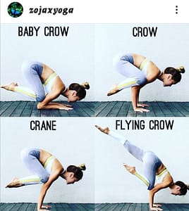 Crow, Baby Crow, Crane, Flying Crow variation